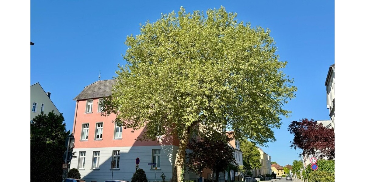 Straßenansicht