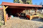 HORN IMMOBILIEN ++ tolles Reetdach-Fachwerkhaus in Alt Rehse bei Neubrandenburg, Denkmalschutz - Einfamilienhaus Alt Rehse Alt Rehse | Angebot:26225814