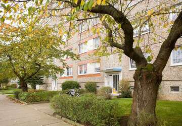 Wohnung Neubrandenburg Datzeberg - 4 Zimmer, 76 m&sup2;, 334&euro; | Angebot:27280678