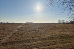 HORN IMMOBILIEN++ 15 km bis Neubrandenburg, schöne Doppelhaushälfte mit großen Grundstück & 2 Garagen - Doppelhaushälfte Bassow Bassow | Angebot:26085785
